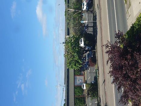 Merrion Rd